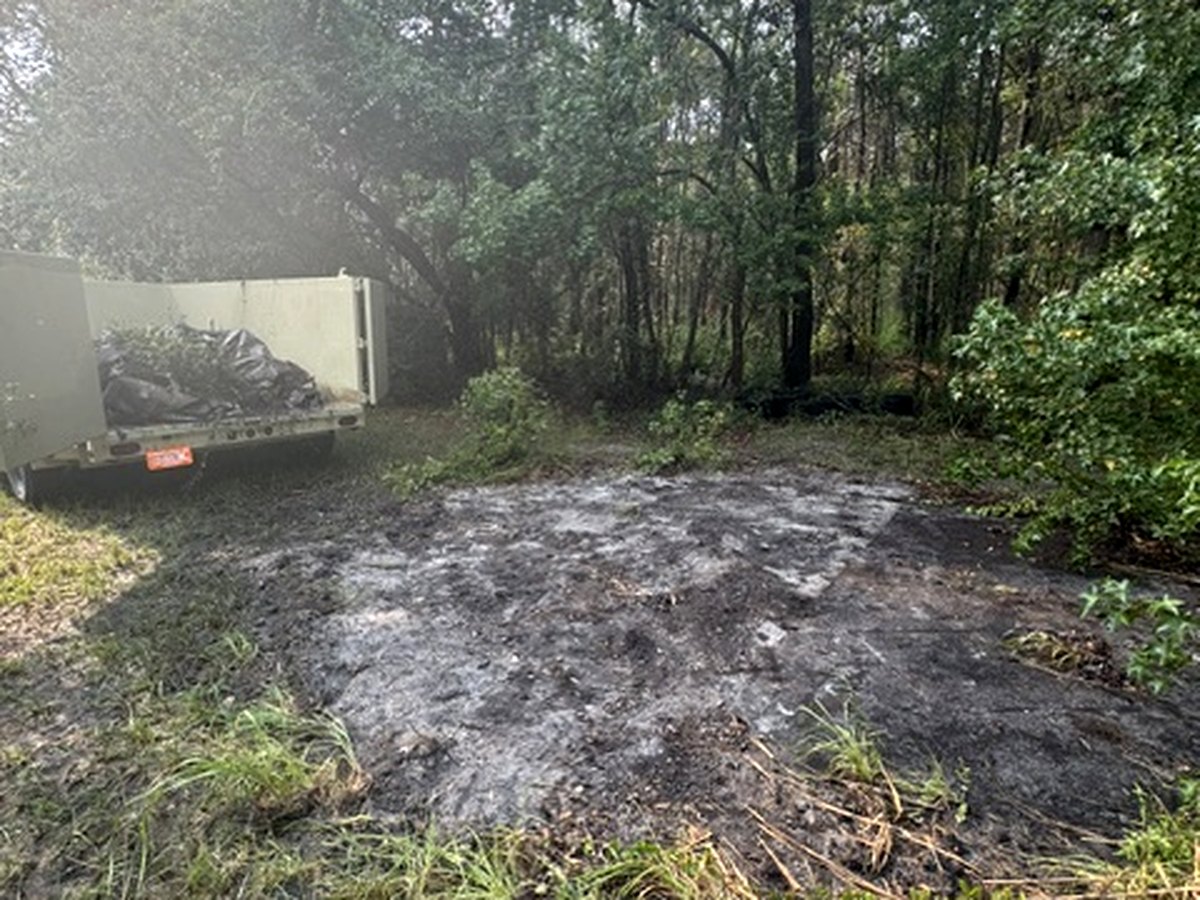 Same property cleared and hauled clean by Backroad Hauling